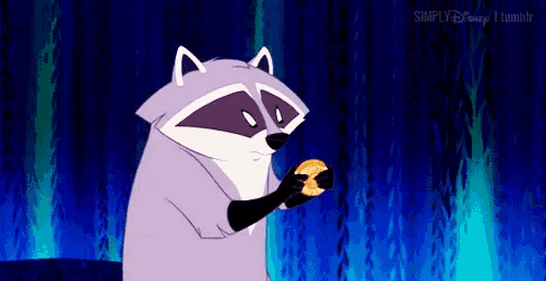 a cartoon raccoon is holding a donut in its paws in front of a blue background .