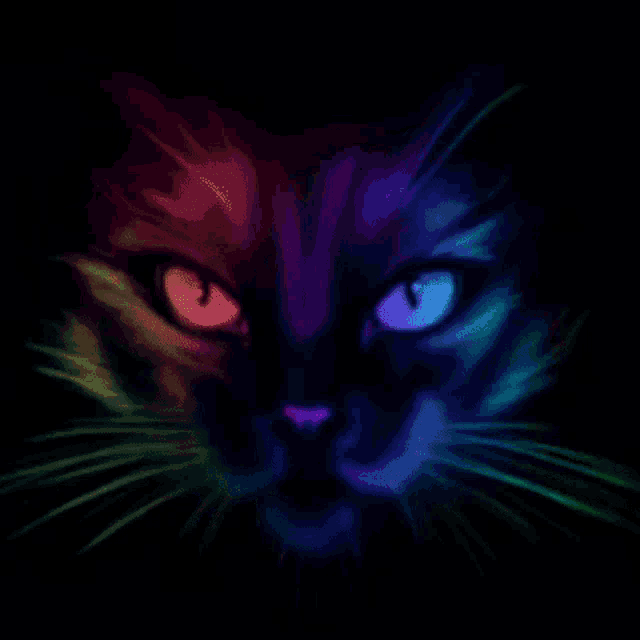 a close up of a cat 's face with a rainbow of colors
