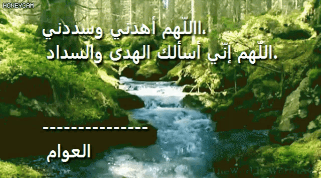 a picture of a river in the woods with arabic writing on it