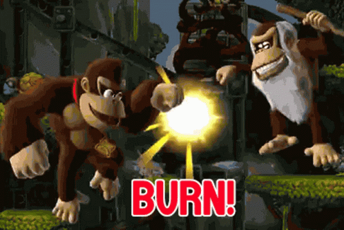 Donkey Kong Cranky Kong GIF - Donkey Kong Cranky Kong Burn GIFs