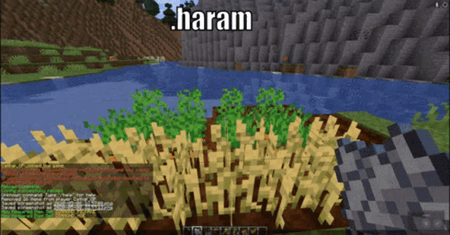 a screenshot of a video game with the word " haram " on the bottom right