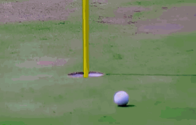 Justin Thomas Ricky Fowler GIF - Justin Thomas Ricky Fowler Hole In One GIFs