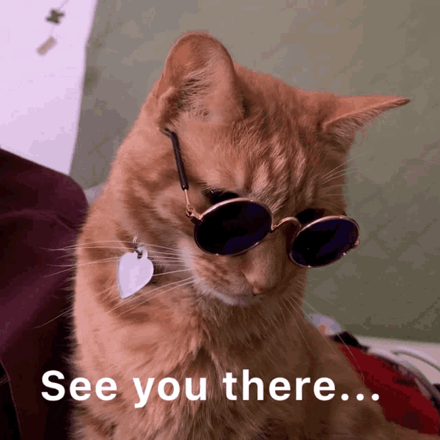 a cat wearing sunglasses says " see you there " on the bottom
