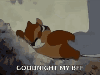 a cartoon squirrel is sleeping on a rock with the words `` goodnight my bff '' written on it .