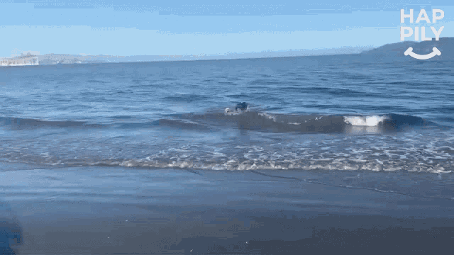 a person riding a wave on a beach with hap pily written on the bottom right