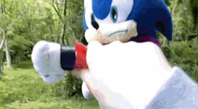a person is holding a sonic the hedgehog stuffed animal in their hand .