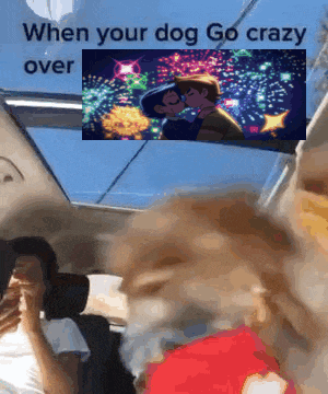 a man and a dog are sitting in a car with a picture of fireworks behind them .