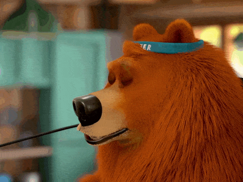 a bear wearing a blue headband that says " beer " on it