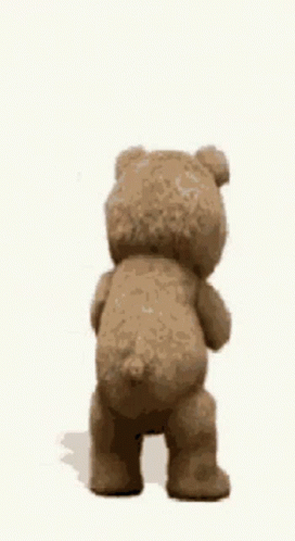 Bear Bear Boner GIF