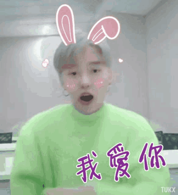 a person wearing bunny ears and a green sweater says i love you in chinese