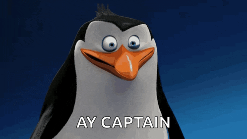 a penguin says ay captain in front of a blue sky