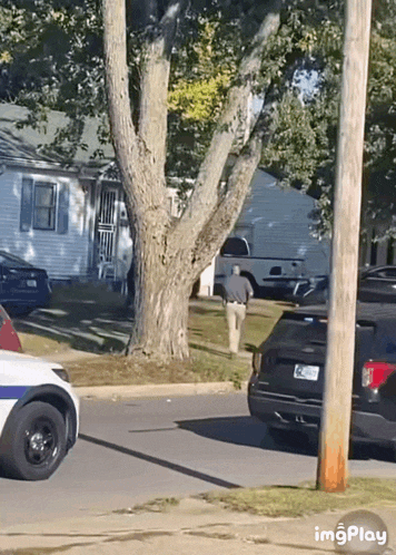 a police car is parked on the side of the road in front of a tree