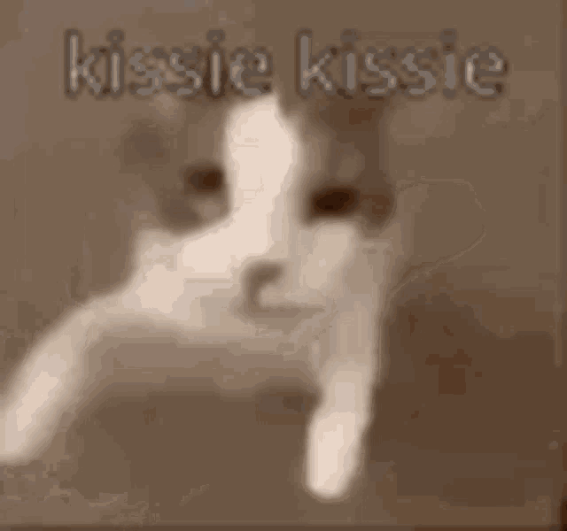 Smooch Kissie Kissie GIF - Smooch Kissie Kissie Cats GIFs