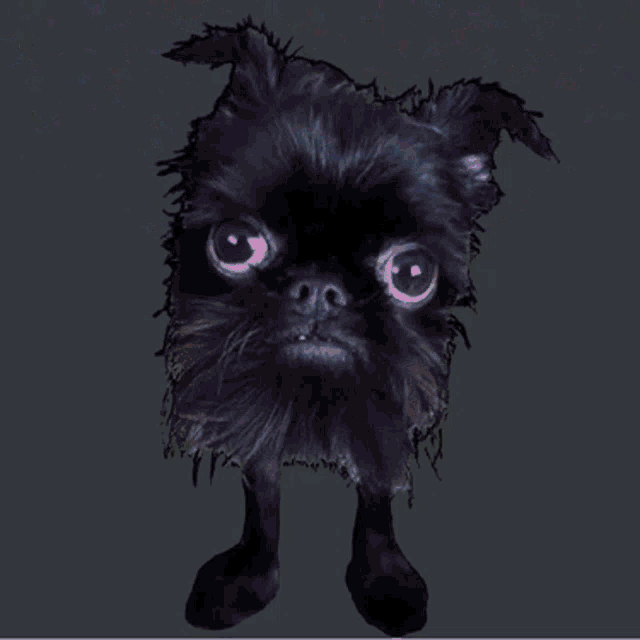 a black dog is surrounded by colorful confetti on a gray background