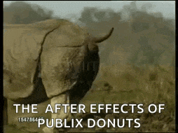 a rhinoceros is standing in a field with the words `` the after effects of publix donuts '' written on the screen .