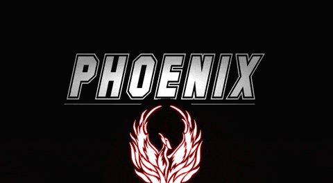 the word phoenix is on a black background with a phoenix
