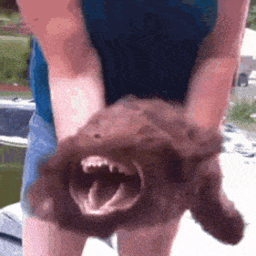 a person is holding a stuffed animal with its mouth open