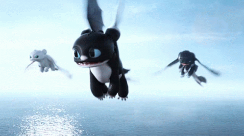 Why Fly When You Can Fall How To Train Your Dragon GIF - Why Fly When You Can Fall How To Train Your Dragon Httyd GIFs