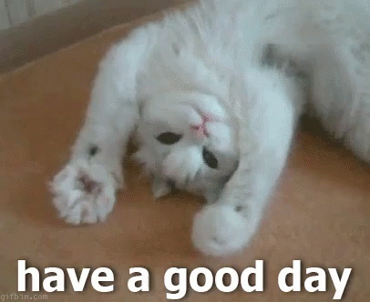 Have A Good Day GIF - Cat Good Day GIFs
