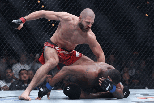 a fighter wearing a pair of red shorts that say pro