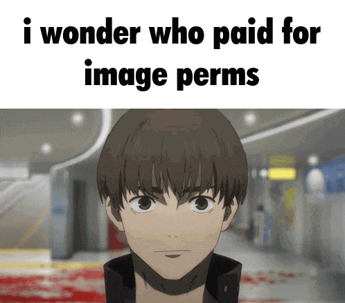 a picture of a boy with the words " i wonder who paid for image perms "