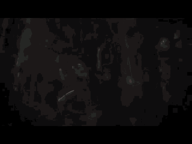 a couple of anime characters are standing in a dark forest