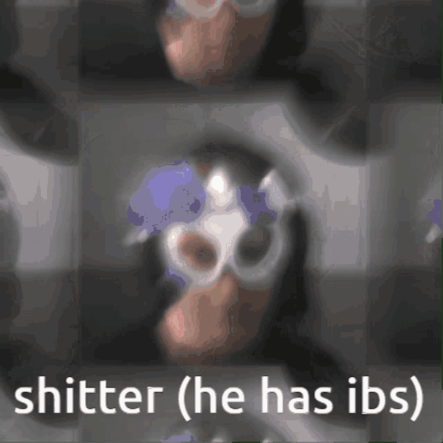 a blurred image of a person with the words " shitter ( he has ibs ) " on the bottom