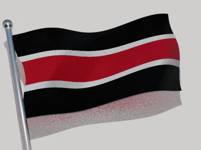 a black white and red flag is flying in the wind