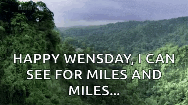 a picture of a lush green forest with the words happy wensday , i can see for miles and miles