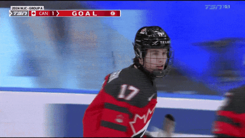 a hockey player with the number 17 on his jersey stands on the ice