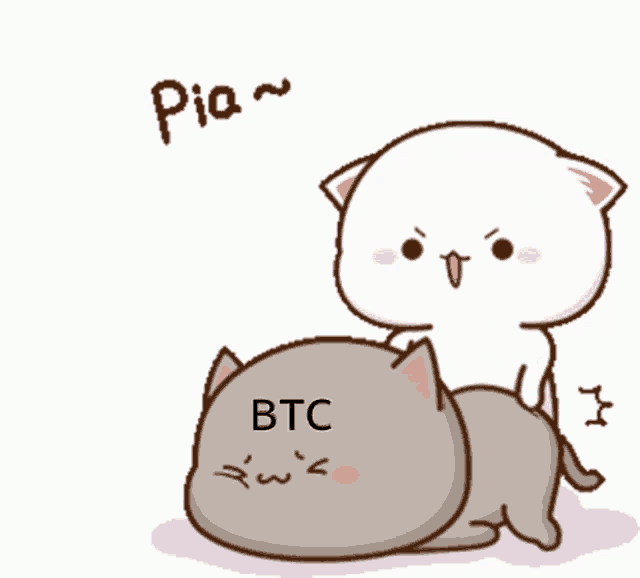 a cartoon cat laying on top of another cat with the words pia btc written on it
