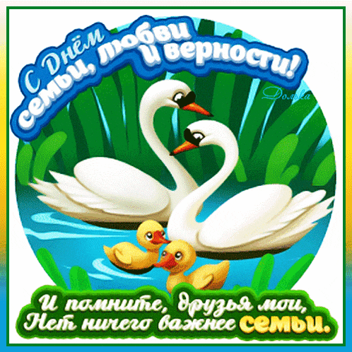 a greeting card with two swans and ducklings in the water