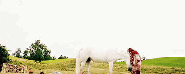 a white horse with a unicorn horn is standing in a grassy field