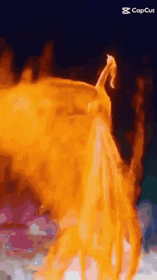 a close up of a person 's head on fire .
