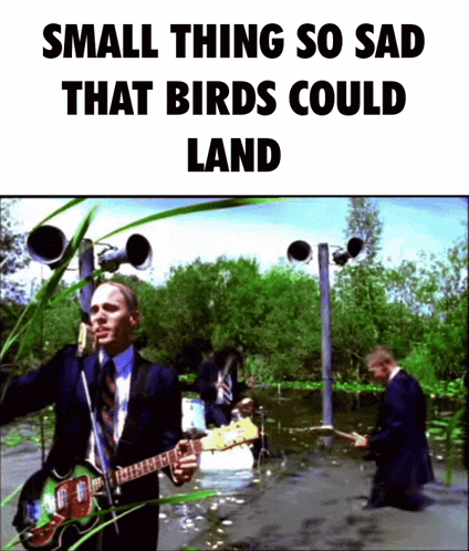a man in a suit is playing a guitar in a swamp with the words small thing so sad that birds could land