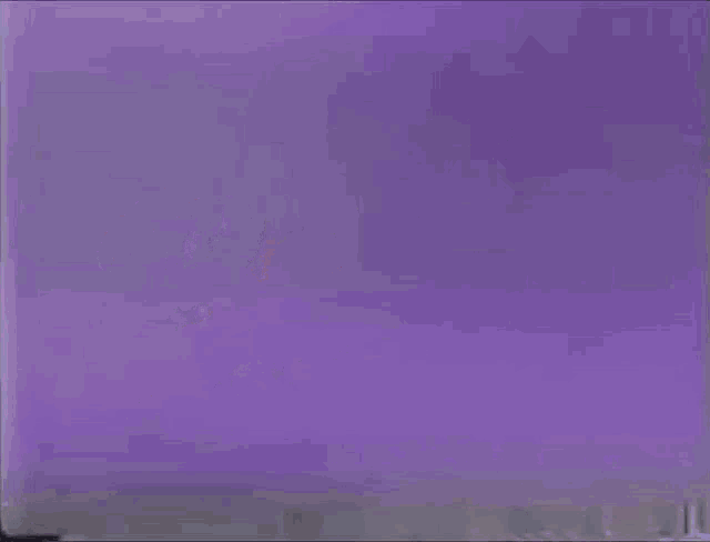 a purple background with the word barbie and a butterfly on it