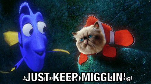 a picture of a cat and a fish with the words just keep miggling below them