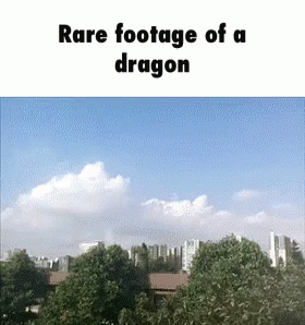 Dragon Real GIF - Dragon Real GIFs