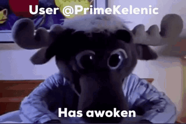 a stuffed moose with the words user @primekelenic has awoken on the bottom