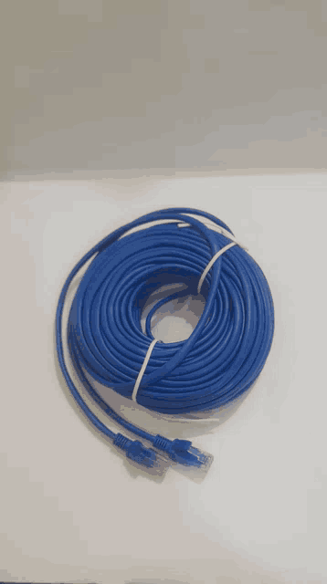 a blue ethernet cable is tied together with a white rope