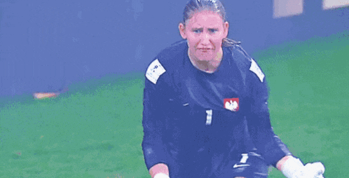 a female soccer player wearing a number 1 jersey is standing on the field .