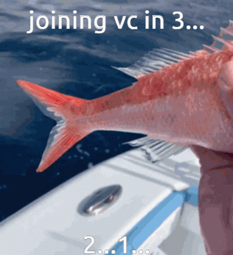 Fish Join Vc GIF - Fish Join Vc Vc Fish GIFs