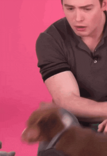 a man in a gray shirt is playing with a brown dog