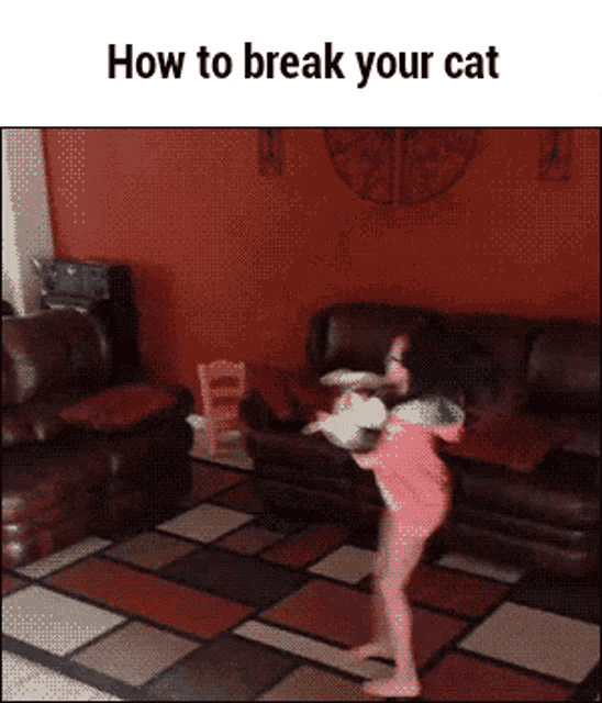 a little girl is jumping in a living room with the words " how to break your cat " written above her