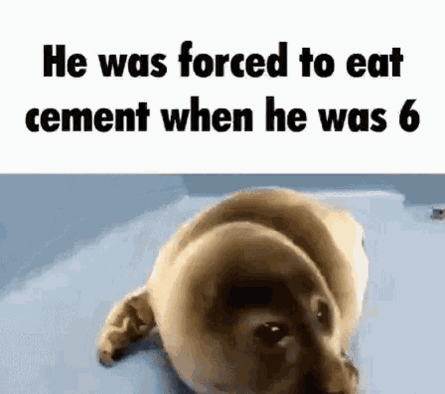 He Was GIF - He Was Forced GIFs