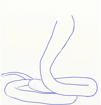 Cobra Snake GIF - Cobra Snake Reptile GIFs