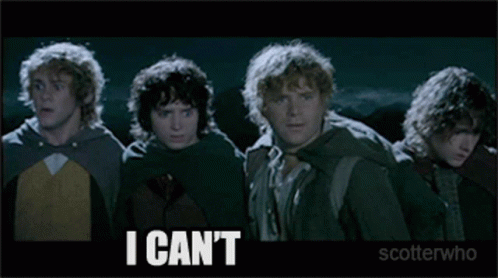 Lotr Lord Of The Rings GIF - Lotr Lord Of The Rings I Cant GIFs