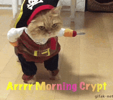 The Crypt Nft The Crypt Pirates GIF - The Crypt Nft The Crypt Pirates Arrrr Morning Crypt GIFs