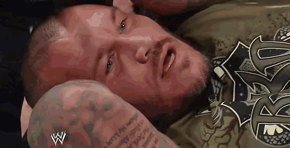 Randy Orton Wwe GIF - Randy Orton Wwe GIFs
