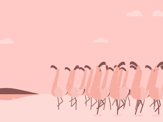 Flamingoes Birds GIF - Flamingoes Birds Pink Birds GIFs